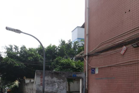 正委花園 正委花園