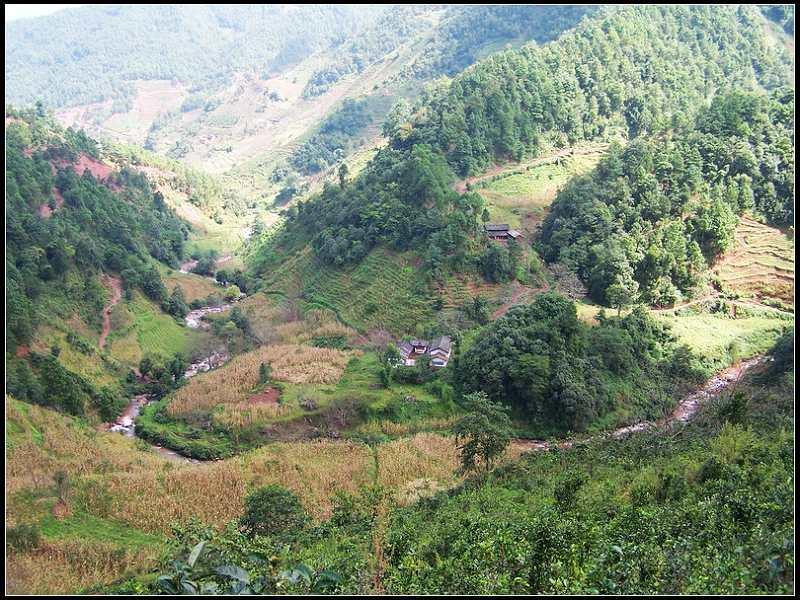 塔朋山村 塔朋山村