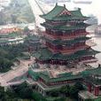高高山頭樹 高高山頭樹