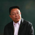 趙鋼(武漢大學教授)