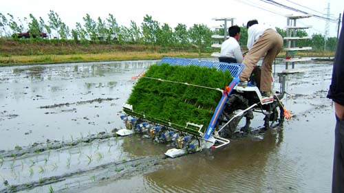 日本水稻插秧機