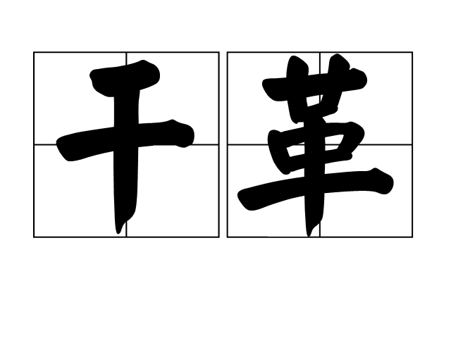乾革 乾革
