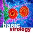 Basic Virology(2007年Blackwell Pub出版的圖書)