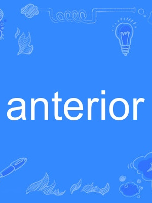 anterior anterior
