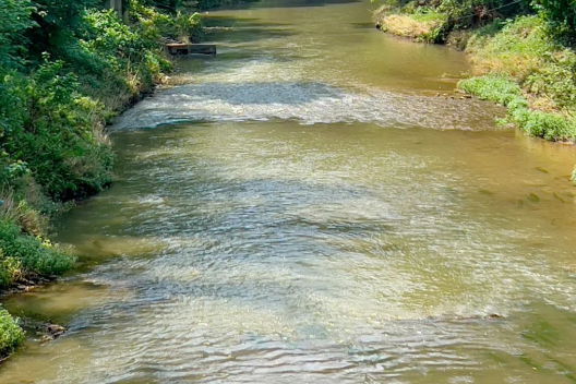 鹿溪河 鹿溪河