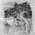 日近長安遠 日近長安遠