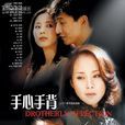 手心手背(2002年何琳主演電視劇) 手心手背(2002年何琳主演電視劇)
