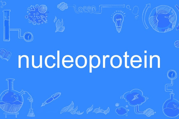 nucleoprotein nucleoprotein