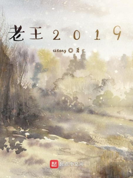 老王2019 老王2019