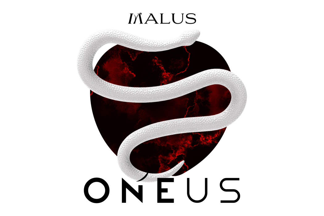 Stupid Love(ONEUS演唱歌曲) Stupid Love(ONEUS演唱歌曲)