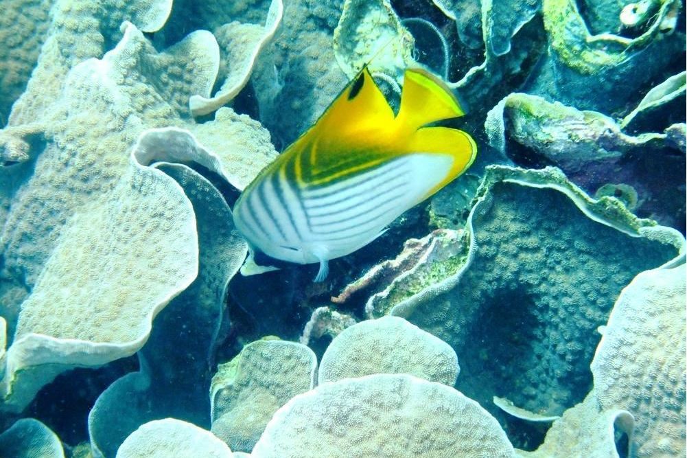 麗水水族館 麗水水族館