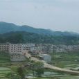 河崖村(山東省青島市萊西馬連莊鎮河崖村) 河崖村(山東省青島市萊西馬連莊鎮河崖村)