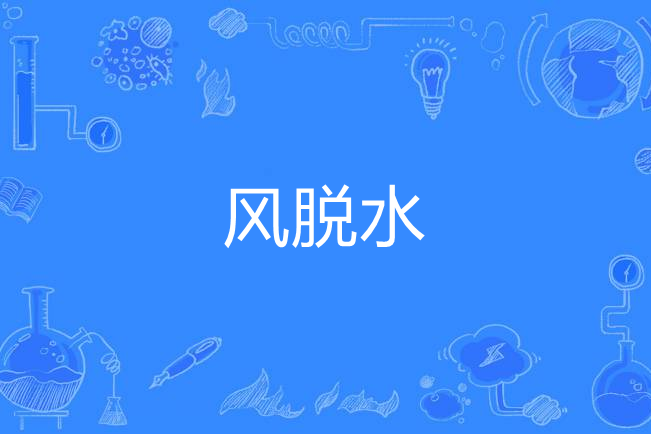 風脫水 風脫水