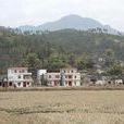 新東村(福建省泉州市南安市九都鎮下轄村) 新東村(福建省泉州市南安市九都鎮下轄村)
