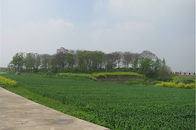 大邊山遺址 大邊山遺址