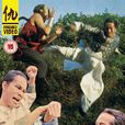 廣東十虎(1978年魏海峰執導電影) 廣東十虎(1978年魏海峰執導電影)