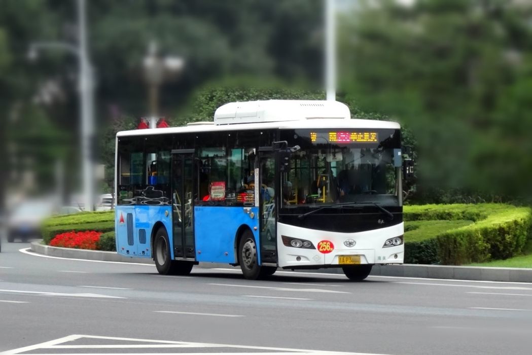 長春公交256路 長春公交256路