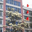 翠屏區白花中學(白花中學) 翠屏區白花中學(白花中學)