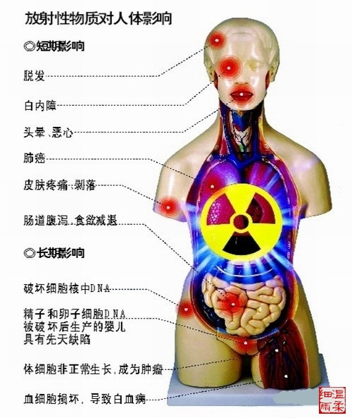 放射性物質對人體的傷害