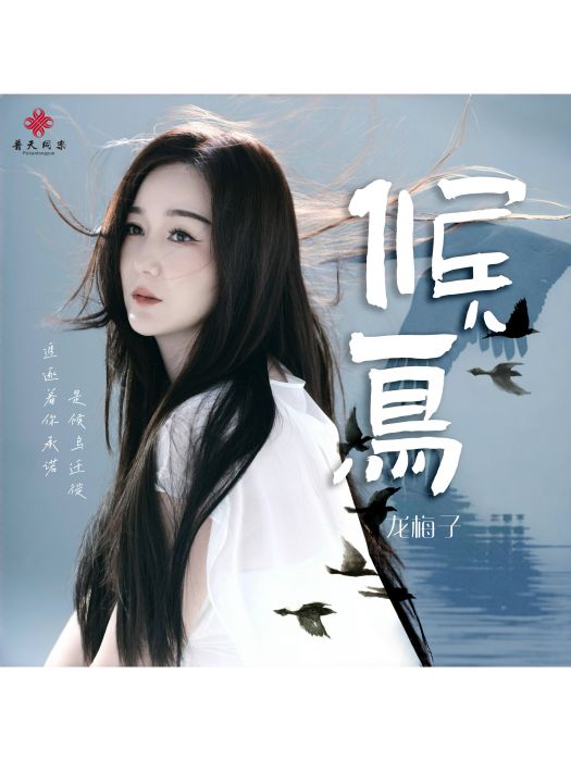 候鳥(龍梅子演唱的歌曲) 候鳥(龍梅子演唱的歌曲)