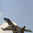 蘇-35戰鬥機(su-35)