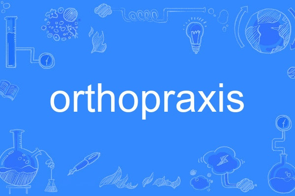 orthopraxis orthopraxis