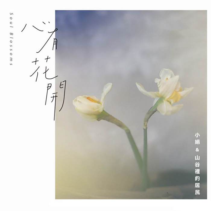 風吹柳絲飄 風吹柳絲飄
