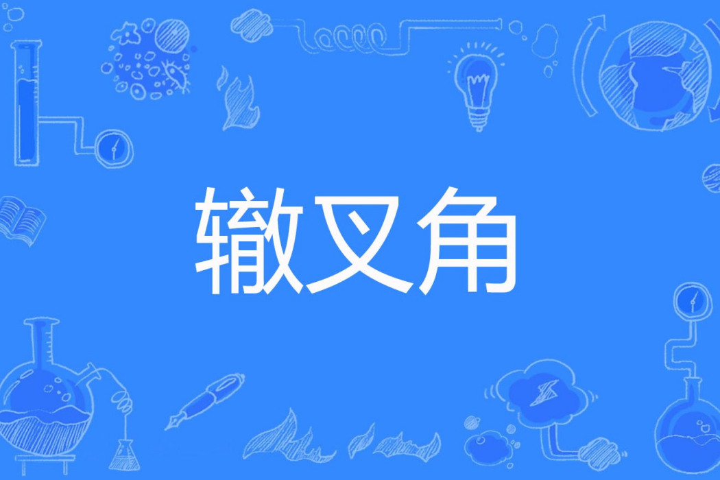 轍叉角