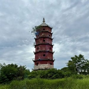 李清塔 李清塔