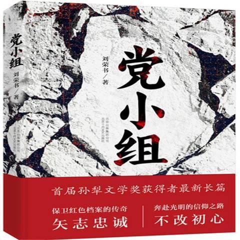 黨小組(2017年北京十月文藝出版社出版的圖書) 黨小組(2017年北京十月文藝出版社出版的圖書)