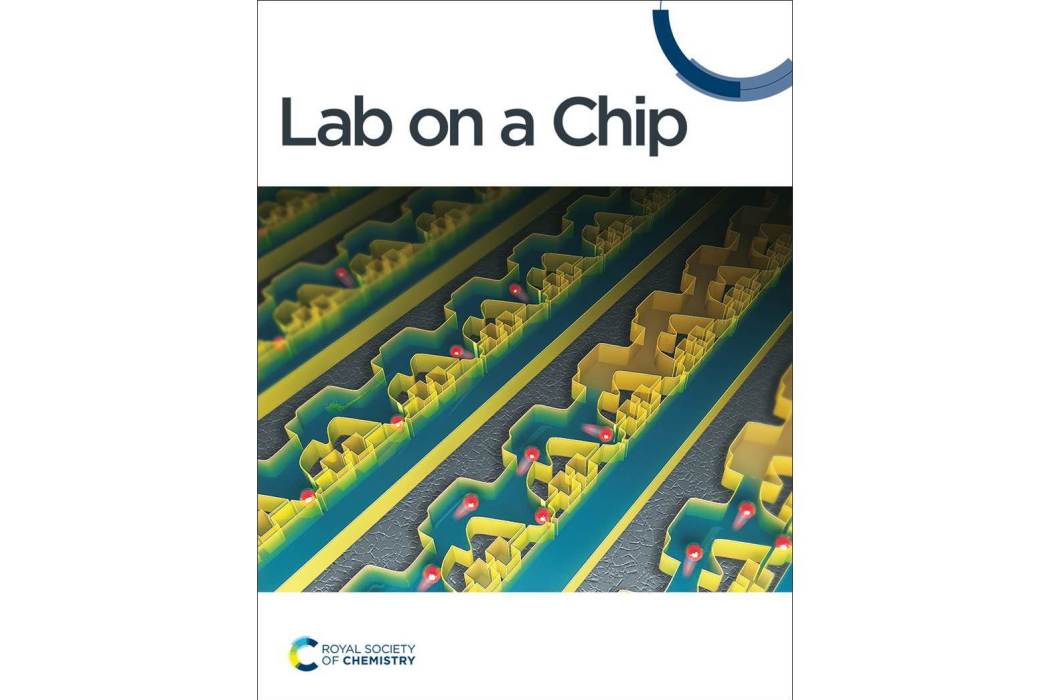 LAB ON A CHIP LAB ON A CHIP