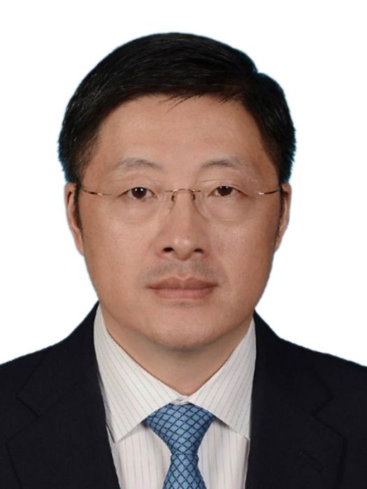 楊勇(第十四屆全國人大代表，國網青海電力公司黨委書記、董事長)