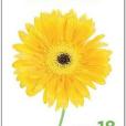 The 18 Rules of Happiness The 18 Rules of Happiness