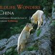 Wildlife Wonders of China Wildlife Wonders of China