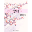 寧珂(酸柴油創作的網路小說作品) 寧珂(酸柴油創作的網路小說作品)