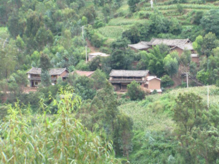 大彎山村
