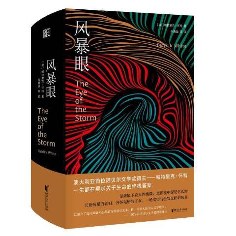 風暴眼(2020年浙江文藝出版社出版的圖書) 風暴眼(2020年浙江文藝出版社出版的圖書)