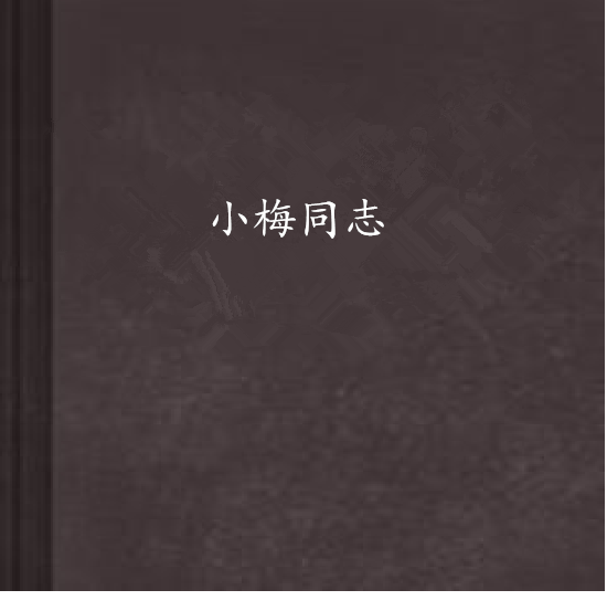 小梅同志 小梅同志
