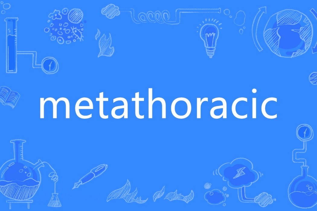 metathoracic metathoracic