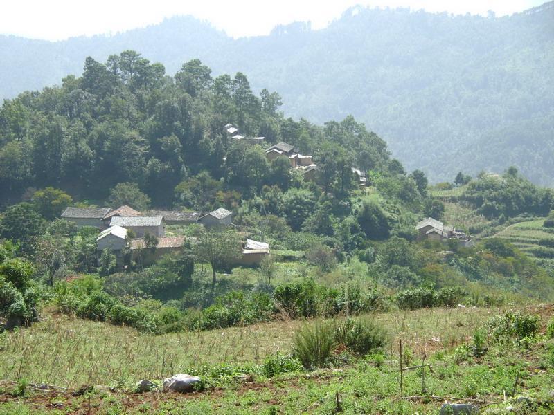 飛黑村 飛黑村