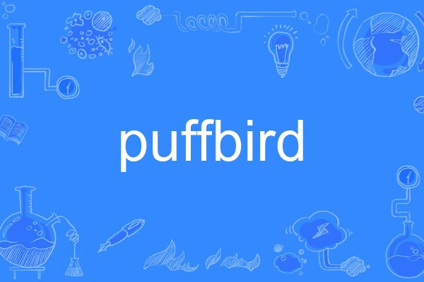 puffbird puffbird