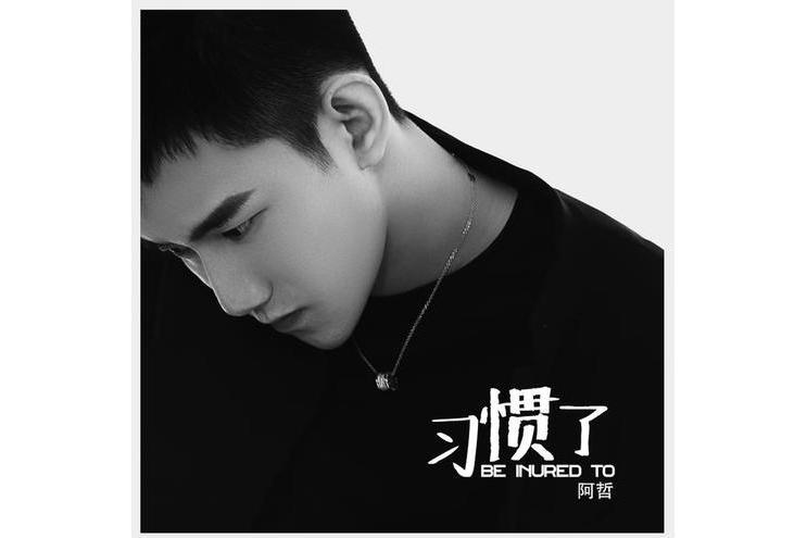 習慣了(阿哲演唱歌曲) 習慣了(阿哲演唱歌曲)