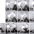 鷹手拳 鷹手拳