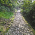 亭溪嶺古道 亭溪嶺古道