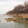 小沽河 小沽河