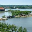 天龍湖(夏邑縣城湖) 天龍湖(夏邑縣城湖)