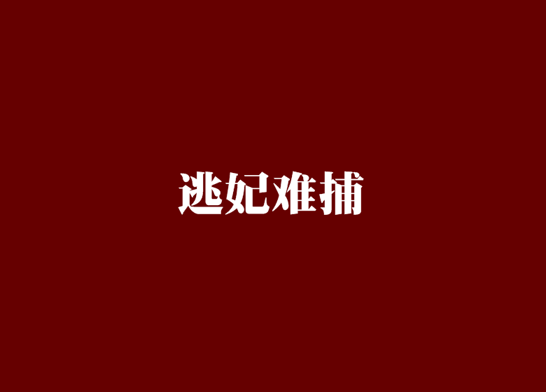 逃妃難捕 逃妃難捕