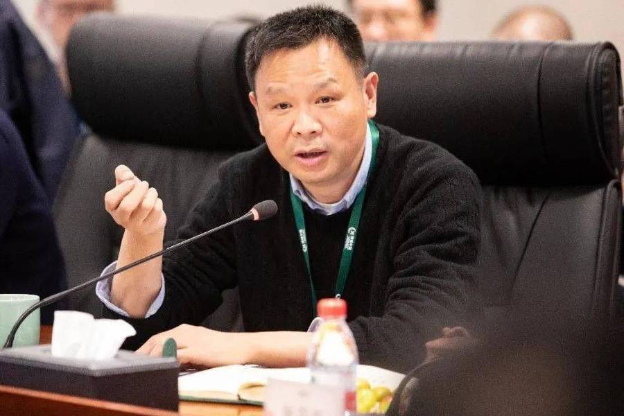 杜平(綠城中國副總裁) 杜平(綠城中國副總裁)