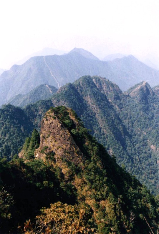 九龍山自然保護區