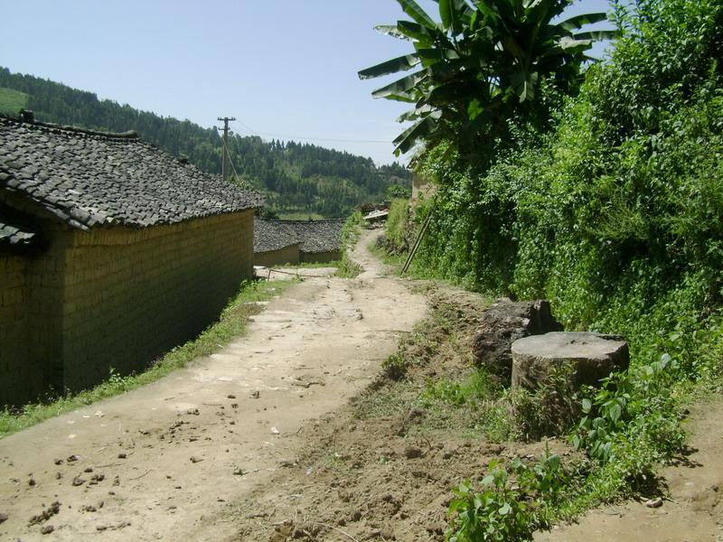 王姓村 王姓村